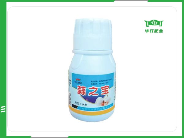 蒜之寶